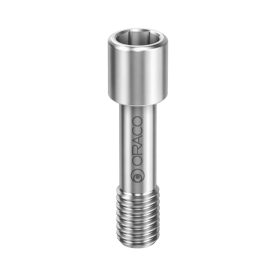 Prosthesis Screw